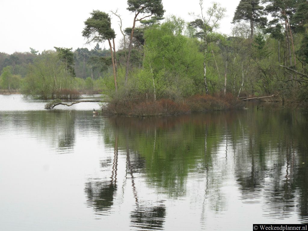 Ten zuiden van Oisterwijk ligt het prachtige natuurgebied de Oisterwijkse Bossen en Vennen. De vele bossen en vennen van Oisterwijk zijn de belangrijkste attractie van het stadje. Een ven bij Oisterwijk. Tip: Schetsen en tekenen in de bossen.